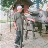 App đi
