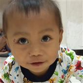 Cá cượ